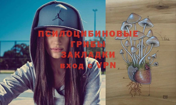 дживик Михайловск