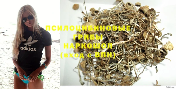 хмурый Медногорск
