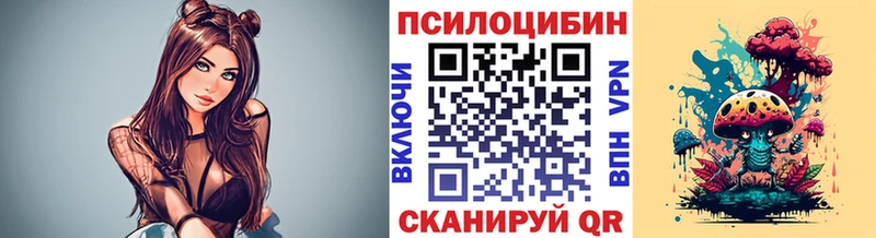 купить   Нестеровская  Псилоцибиновые грибы Psilocybine cubensis 